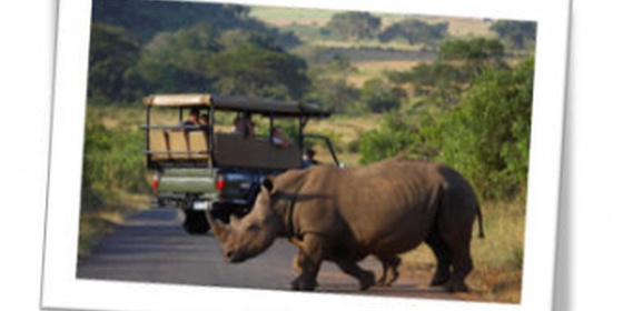 Full Day Hluhluwe Safari Excursion